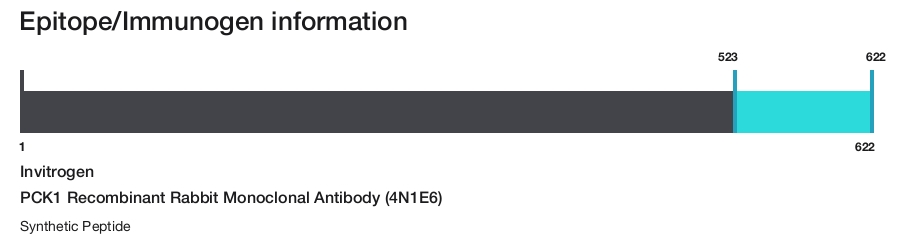 PCK1 Recombinant Rabbit Monoclonal Antibody (4N1E6)