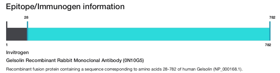 Gelsolin Recombinant Rabbit Monoclonal Antibody (0N10G5)
