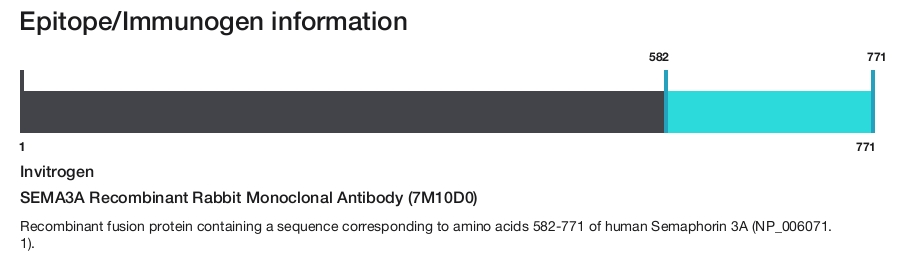 SEMA3A Recombinant Rabbit Monoclonal Antibody (7M10D0)