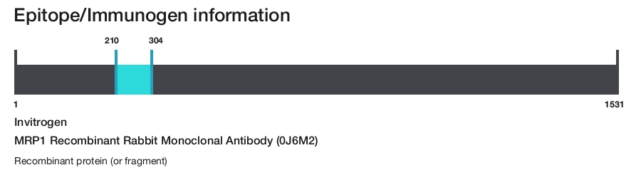 MRP1 Recombinant Rabbit Monoclonal Antibody (0J6M2)
