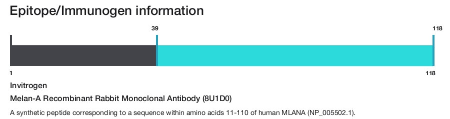 Melan-A Recombinant Rabbit Monoclonal Antibody (8U1D0)