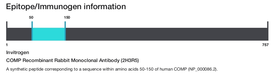 COMP Recombinant Rabbit Monoclonal Antibody (2H3R5)