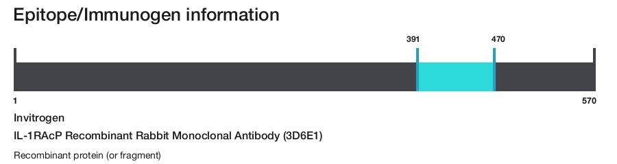 IL-1RAcP Recombinant Rabbit Monoclonal Antibody (3D6E1)