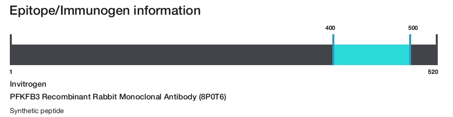 PFKFB3 Recombinant Rabbit Monoclonal Antibody (8P0T6)