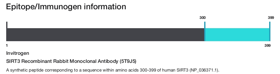 SIRT3 Recombinant Rabbit Monoclonal Antibody (5T9J5)