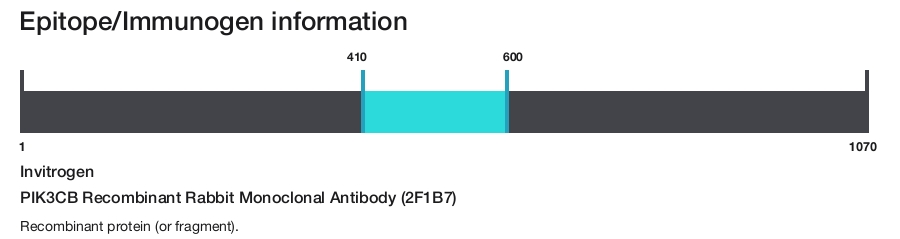 PIK3CB Recombinant Rabbit Monoclonal Antibody (2F1B7)