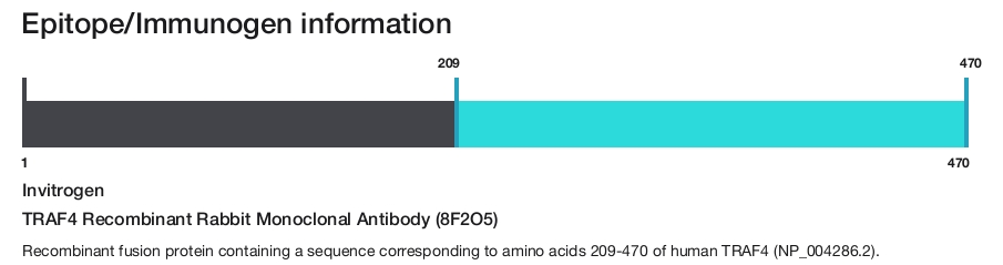 TRAF4 Recombinant Rabbit Monoclonal Antibody (8F2O5)