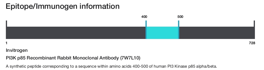 PI3K p85 Recombinant Rabbit Monoclonal Antibody (7W7L10)
