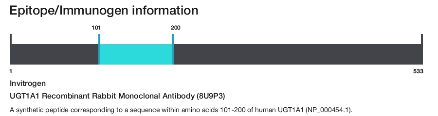 UGT1A1 Recombinant Rabbit Monoclonal Antibody (8U9P3)