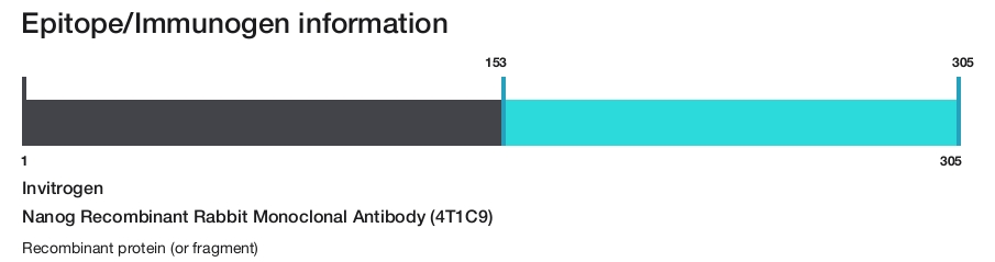 Nanog Recombinant Rabbit Monoclonal Antibody (4T1C9)