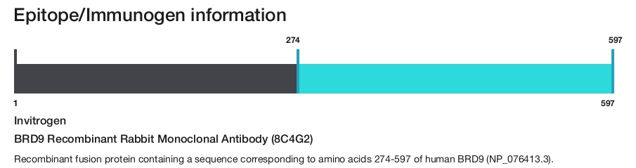 BRD9 Recombinant Rabbit Monoclonal Antibody (8C4G2)