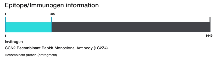 GCN2 Recombinant Rabbit Monoclonal Antibody (1G2Z4)
