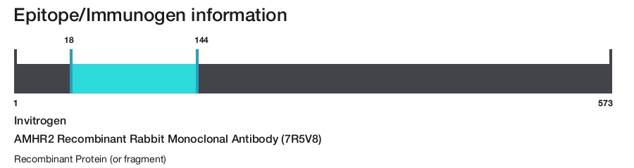 AMHR2 Recombinant Rabbit Monoclonal Antibody (7R5V8)
