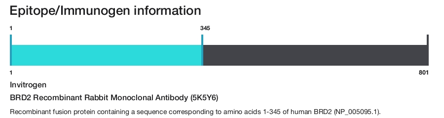 BRD2 Recombinant Rabbit Monoclonal Antibody (5K5Y6)