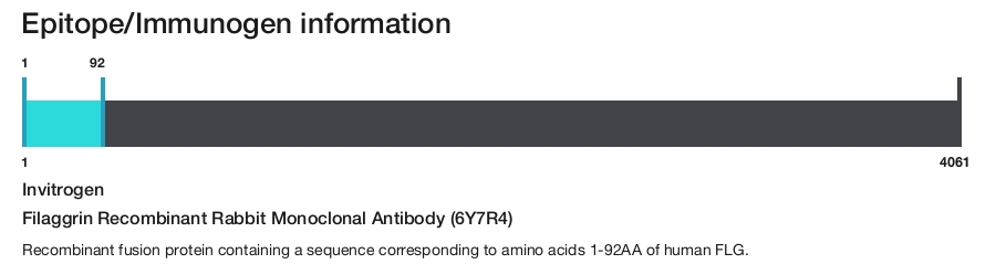 Filaggrin Recombinant Rabbit Monoclonal Antibody (6Y7R4)