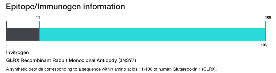 GLRX Recombinant Rabbit Monoclonal Antibody (3N3Y7)