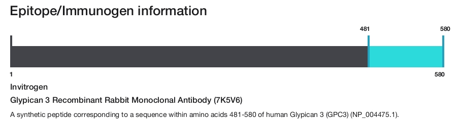 Glypican 3 Recombinant Rabbit Monoclonal Antibody (7K5V6)