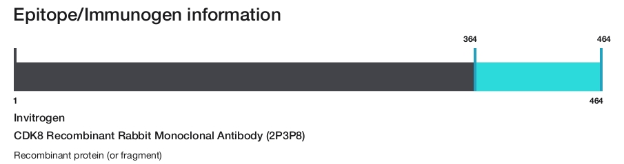 CDK8 Recombinant Rabbit Monoclonal Antibody (2P3P8)