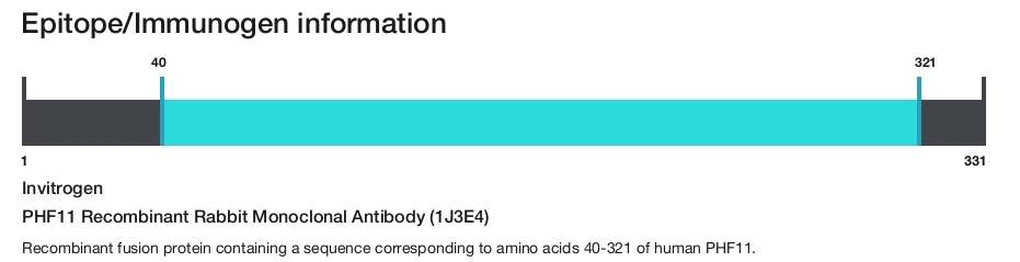 PHF11 Recombinant Rabbit Monoclonal Antibody (1J3E4)