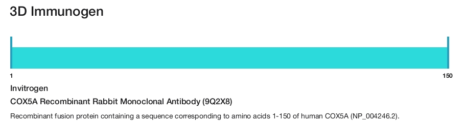 COX5A Recombinant Rabbit Monoclonal Antibody (9Q2X8)