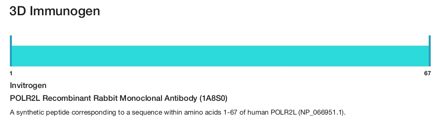 POLR2L Recombinant Rabbit Monoclonal Antibody (1A8S0)