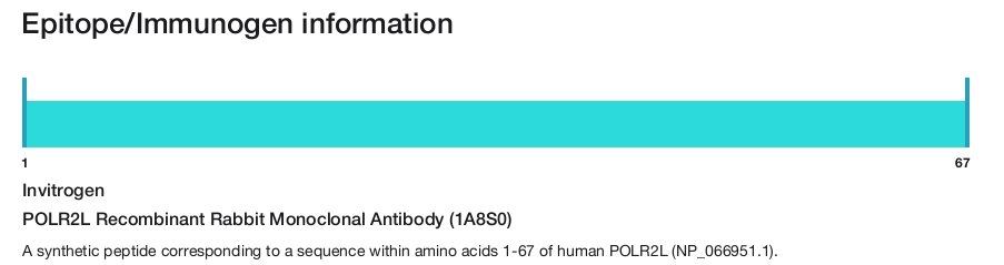 POLR2L Recombinant Rabbit Monoclonal Antibody (1A8S0)
