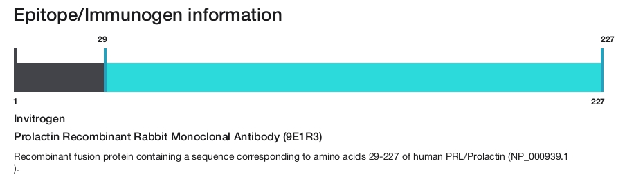 Prolactin Recombinant Rabbit Monoclonal Antibody (9E1R3)