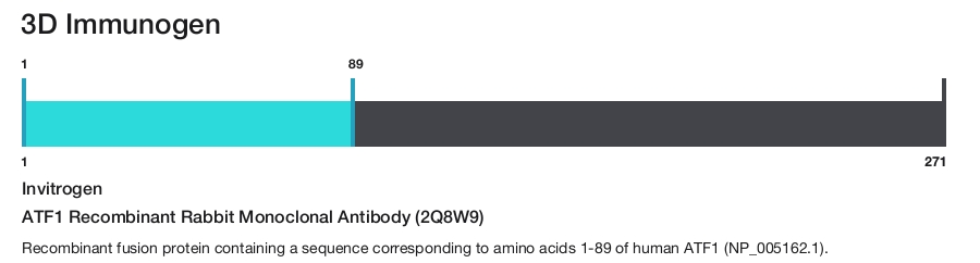 ATF1 Recombinant Rabbit Monoclonal Antibody (2Q8W9)