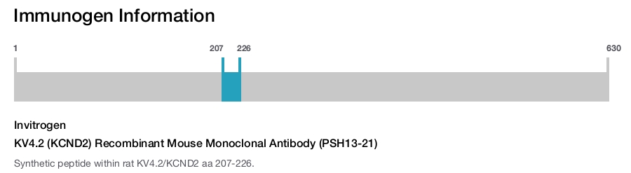 KV4.2 (KCND2) Recombinant Mouse Monoclonal Antibody (PSH13-21)