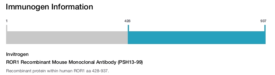 ROR1 Recombinant Mouse Monoclonal Antibody (PSH13-99)