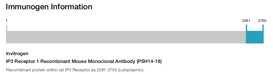IP3 Receptor 1 Recombinant Mouse Monoclonal Antibody (PSH14-18)