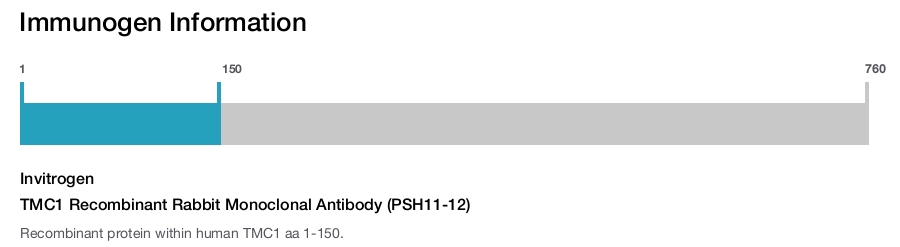 TMC1 Recombinant Rabbit Monoclonal Antibody (PSH11-12)