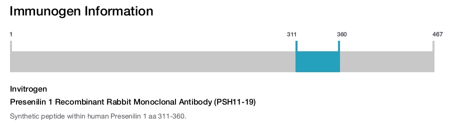 Presenilin 1 Recombinant Rabbit Monoclonal Antibody (PSH11-19)