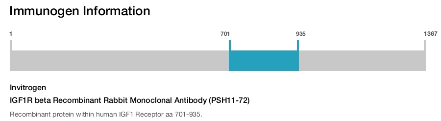 IGF1R beta Recombinant Rabbit Monoclonal Antibody (PSH11-72)