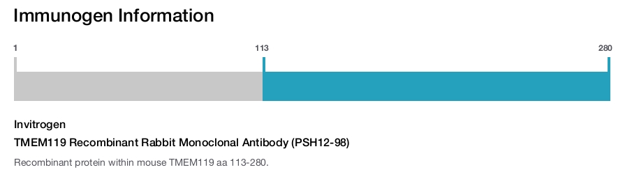 TMEM119 Recombinant Rabbit Monoclonal Antibody (PSH12-98)
