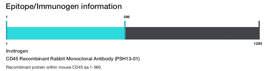 CD45 Recombinant Rabbit Monoclonal Antibody (PSH13-01)