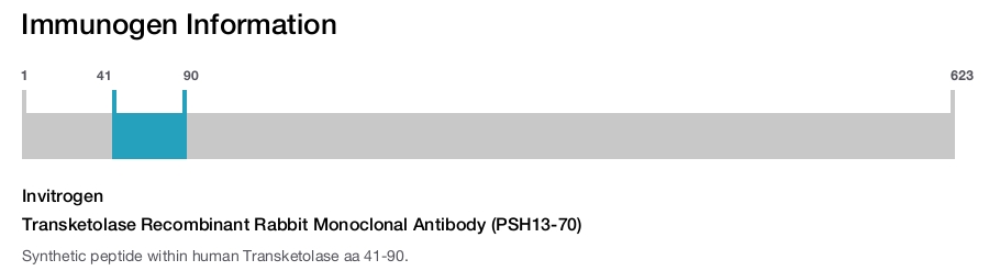 Transketolase Recombinant Rabbit Monoclonal Antibody (PSH13-70)