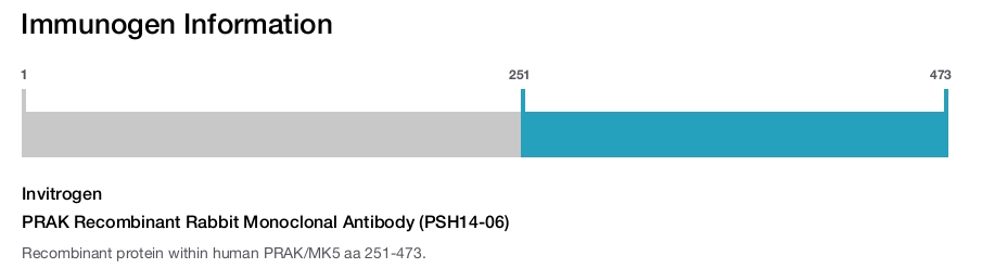 PRAK Recombinant Rabbit Monoclonal Antibody (PSH14-06)