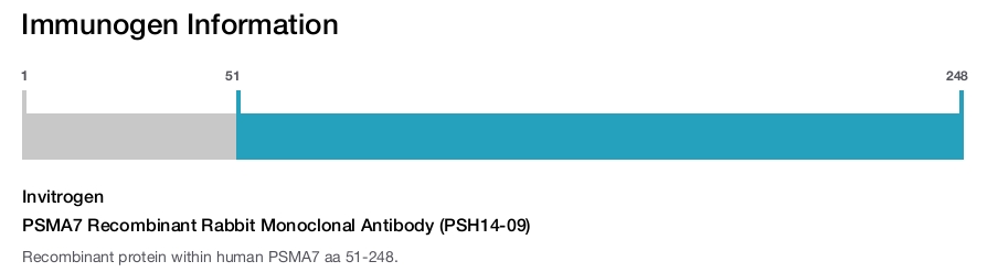 PSMA7 Recombinant Rabbit Monoclonal Antibody (PSH14-09)