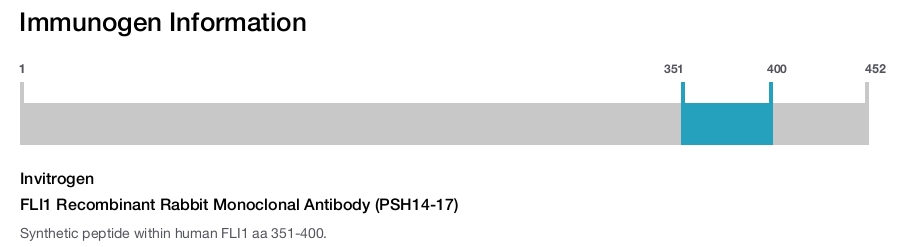 FLI1 Recombinant Rabbit Monoclonal Antibody (PSH14-17)