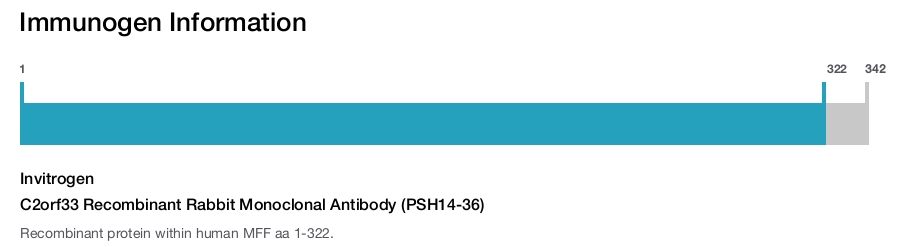 C2orf33 Recombinant Rabbit Monoclonal Antibody (PSH14-36)