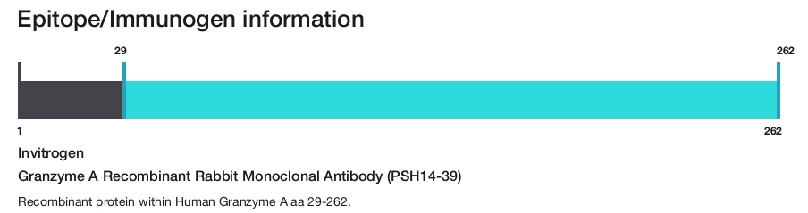 Granzyme A Recombinant Rabbit Monoclonal Antibody (PSH14-39)