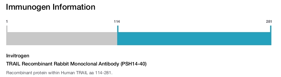 TRAIL Recombinant Rabbit Monoclonal Antibody (PSH14-40)