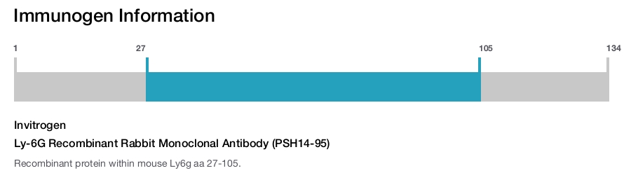 Ly-6G Recombinant Rabbit Monoclonal Antibody (PSH14-95)