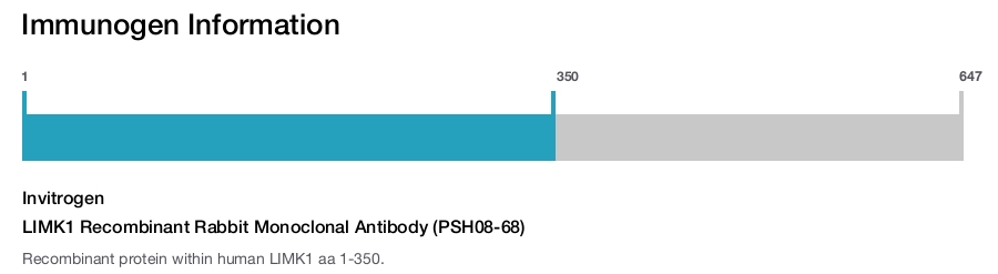 LIMK1 Recombinant Rabbit Monoclonal Antibody (PSH08-68)