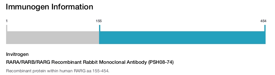 RARA/RARB/RARG Recombinant Rabbit Monoclonal Antibody (PSH08-74)