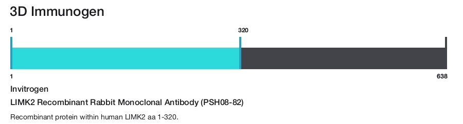 LIMK2 Recombinant Rabbit Monoclonal Antibody (PSH08-82)