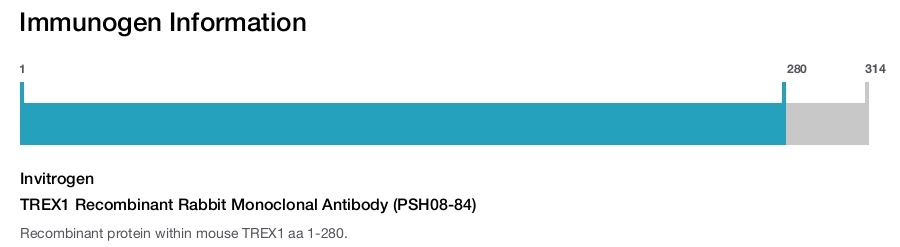 TREX1 Recombinant Rabbit Monoclonal Antibody (PSH08-84)