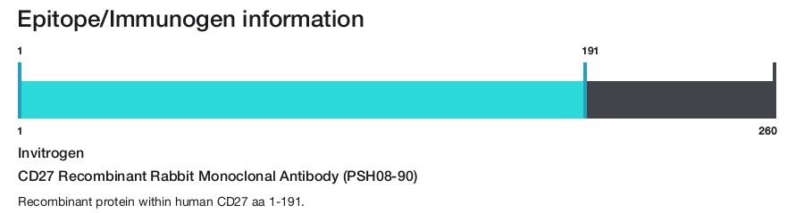 CD27 Recombinant Rabbit Monoclonal Antibody (PSH08-90)