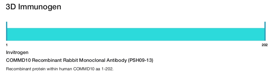 COMMD10 Recombinant Rabbit Monoclonal Antibody (PSH09-13)